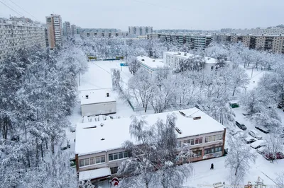 Настоящая зима в Москве