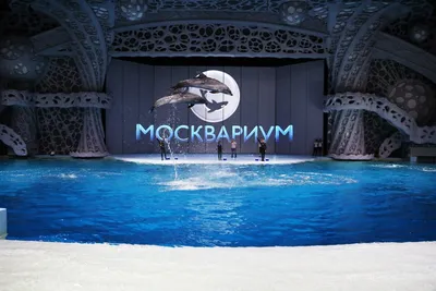 Место «Москвариум» в Москве | A-a-ah.ru