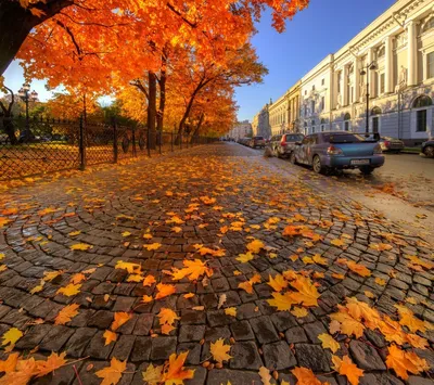 Осень в городе - 71 фото