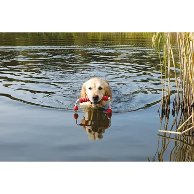 Trixie Dog Activity Mot-Long schwimmt 20 cm/ 42 cm kaufen bei OBI