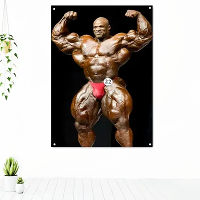 X-33 Arnold Schwarzenegger Fitness Bodybuilding Motivational Quotes Poster  Art | eBay