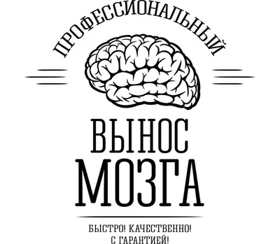 Почему у дельфинов такой крутой мозг? | Эволюция рядом | Дзен