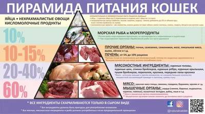 Купить фарш куриный Мясничий Столичный охлажденный 800 г, цены в Москве на  Мегамаркет | Артикул: 100039283704