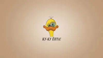 Обои на телефон // мэйбл //фраза | Russian memes, Family guy, Aesthetic  wallpapers