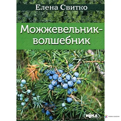 Можжевельник-волшебник, Елена Свитко купить в интернет-магазине: цена,  отзывы – Лавка Бабуин, Киев, Украина