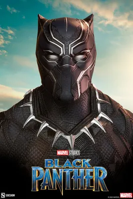 Marvel's Avengers on X: \"The Black Panther is here. 👑 Inspired by the  Marvel Cinematic Universe, Black Panther's \"Marvel Studios' Black Panther\"  Outfit features a king fighting for the throne and for