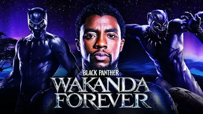 Black Panther: Why Marvel loaned actors' costumes to Ipswich Museum - BBC  News