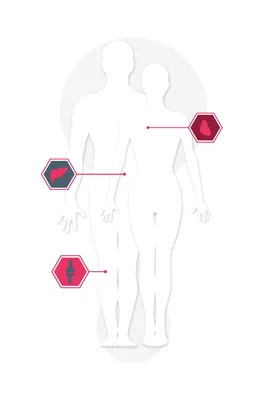 Заболевания которые лечат стволовыми клетками - Future Health Biobank  Kazakhstan