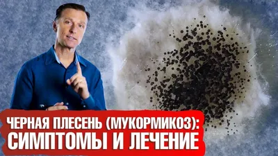 Черная плесень: что делать? Мукормикоз 📢 симптомы - YouTube