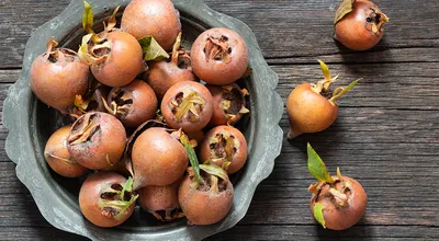Что такое мушмула? Какой вкус у этого зимнего фрукта и 2 полезных рецепта с  ним — читать на Gastronom.ru