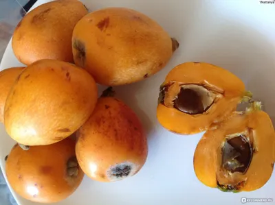 Фрукты Мушмула - «Мушмула – что за фрукт? Благотворный фрукт для  диабетиков. Состав, калорийность, полезные свойства и вред.» | отзывы