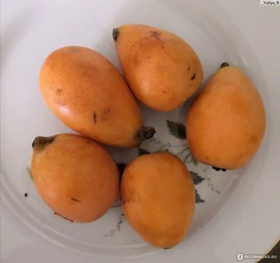 Фрукты Мушмула - «Необычный фрукт на моем столе. Что такое мушмула? » |  отзывы