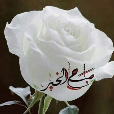 Мусульманские цветы - 72 фото