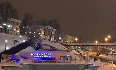 Музей медуз в Киеве: фото, описание, отзывы, цена