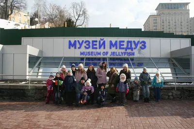 Следующий наш пункт «Музей медуз» 🌊 Кто не знал, в центе Киева есть музей  медуз, цена билета 150 грн. Это очень захватывающее зрелище 😍 … | Instagram