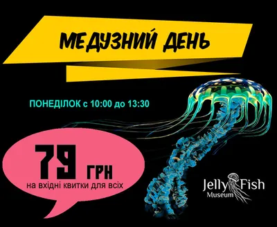 Музей медуз в Киеве: Фото, адрес, график работы, цена - Афиша bigmir)net
