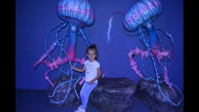 Музей медуз в Киеве/Jellyfish museum - YouTube