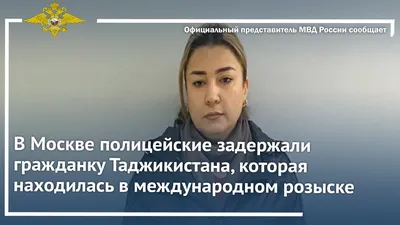 История пса Адольфа из Мариуполя: его хотели убить в Оленовке, подарили  Кадырову, но хозяйка смогла его вернуть