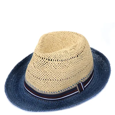 Шляпа мужская летняя из целлюлозы: FABRETTI арт.WL1-1