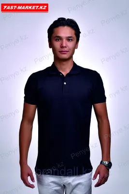 Мужские футболки Polo Ralph Lauren Ф-840 купить в интернет магазине  Fashion-ua в Украине