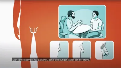 Мужские половые органы | RFSU informerar om penis pung / mannens kön på  ryska - YouTube