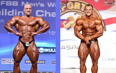 Протоколы: Анализ номинации «мужской бодибилдинг» на «Amateur Arnold  Classic»-2016