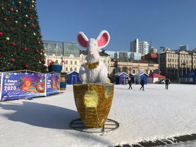 Вдвое больше: новую мышь с сыром установили на центральной площади  Владивостока (видео) - PrimaMedia