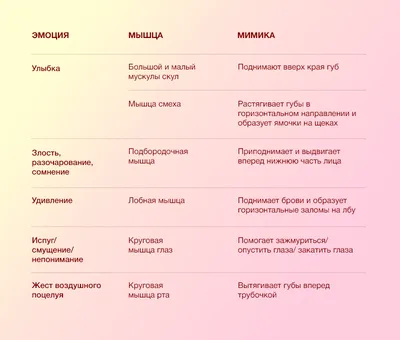 Голова и шея KT : нормальная анатомия | e-Anatomy