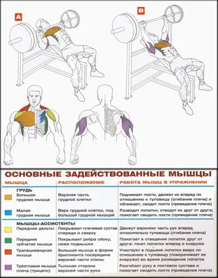 Синдром верхней аппертуры грудной клетки. - Клиника Гарант - г. Нижний  Новгород