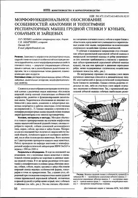 10 лучших упражнений для грудных мышц: комплекс прокачки мышц груди