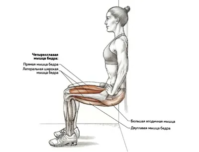 Что влияет на форму ягодичных мышц при силовом тренинге. | Женский фитнес |  Дзен