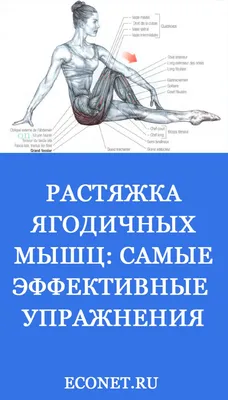 Sport Braza - 5 лучших упражнений для наращивания ягодиц. ⠀ 👉 Отметьте  того, кто хочет увеличить свои ягодицы! ⠀ 💥 Мои пять лучших упражнений для  наращивания ягодичных мышц - это приседания, становая