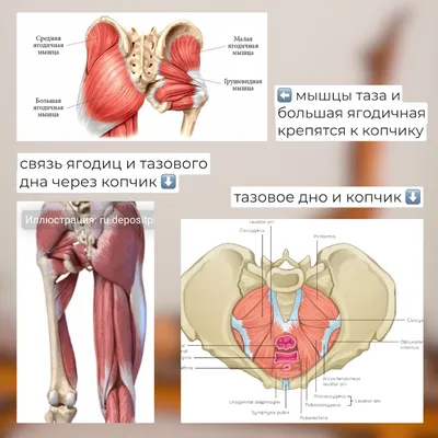 10 лучших упражнений для ягодиц с собственным весом - GymBeam Blog