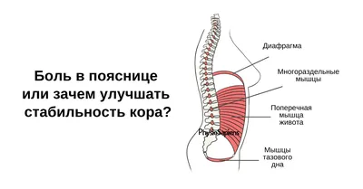 Почему важно тренировать мышцы кора?