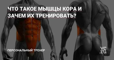 Мышцы кора. Они больше, чем вы думаете. | ВКонтакте