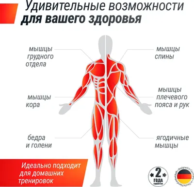 Упражнения на мышцы кора — укрепление мышцы комплексом тренировок в  домашних условиях