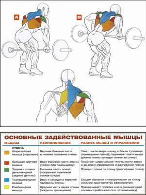 Убрать \"крылья\": лучшие упражнения на трицепс для всех, кто мечтает о  красивых руках - YouTube