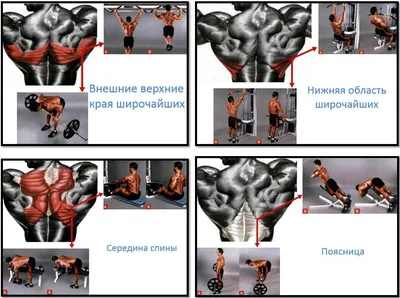 Тренировка | Чтобы накачать мышцы спины, в особенности крылья (широчайшие),  нужно делать различные тяги: к груди, пояснице, за голову, подтягивания и  прочие... | By DESNA AQUA SPORT / Десна Аква Спорт | Facebook