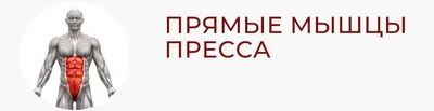 Лучшее упражнение на косые мышцы. Боковые подъемы корпуса для косых мышц  живота | Фитнес тренер Юрий Спасокукоцкий | Дзен