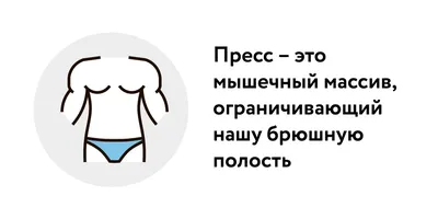 Мышцы живота во время беременности и после родов: как вернуть животику  форму?