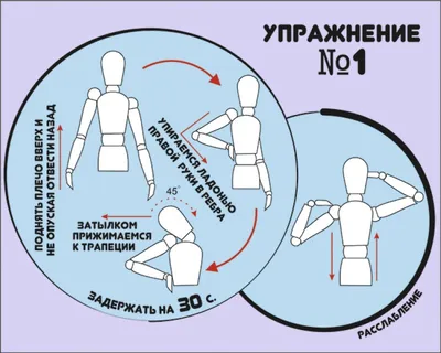 Fitness bro - ТРЕНИРОВКА ТРАПЕЦИЙ Именно трапеции, окутывающие по обе  стороны верхнюю часть спины, позволяют сформировать «бугристость» всего  спинного массива. Если хотите, то именно трапеции являются визитной  карточкой бодибилдера. И без значимого