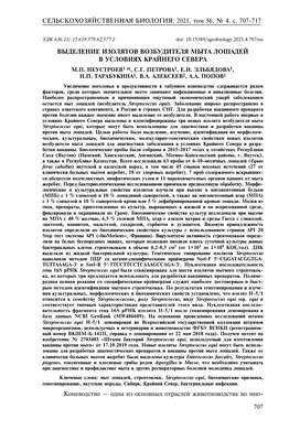 Мытьё лошади: базовые правила и рекомендации. | Дневник работы с лошадьми |  Дзен