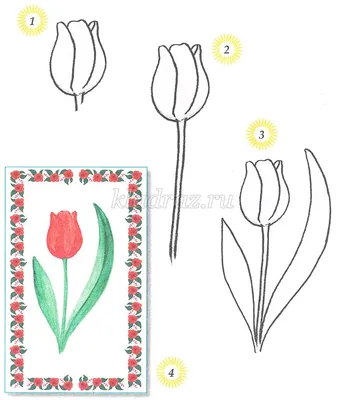 8 марта Срисовки Легкие Пошаговые (800 Рисунков) Рисунки Для Начинающих  Карандашом Простые Идеи Красивые Картинки