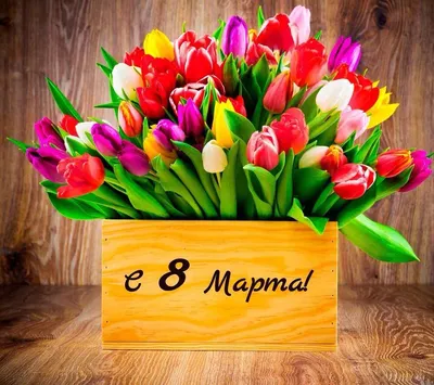 8 Марта - праздник весны, красоты, очарования
