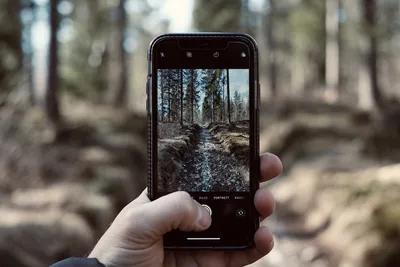 Как делать красивые снимки на iPhone для Instagram | Статьи | Фото, видео,  оптика | Фотосклад Эксперт