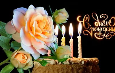 Обои Роза, свечи, торт, День рождения картинки на рабочий стол, раздел  праздники - скачать
