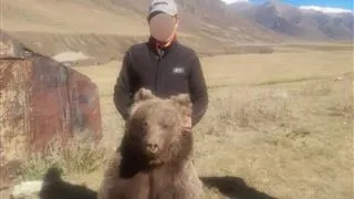 Мужчина, сделавший фото на память с отстрелянным медведем, задержан в  Жетісу - Новости | Караван