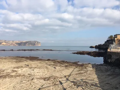 Сток фото застоя водорослей на пляже Ареналь - Jávea.com | Xàbia.com