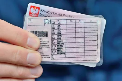 Кому в Польше можно ездить без водительского удостоверения - Покупки в  Польше