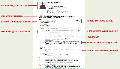 Как создать резюме на HH.RU: образец правильного резюме